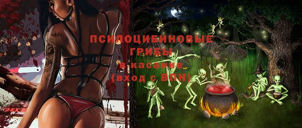 мдпв Лихославль