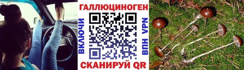 Купить  Лакинск  Галлюциногенные грибы MAGIC MUSHROOMS 