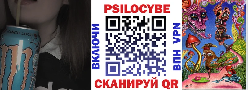 Псилоцибиновые грибы Cubensis Лакинск